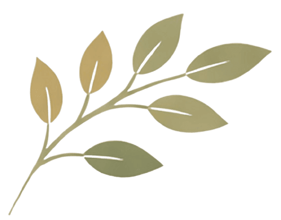 Approche intégrative en psychothérapie : TCC, psychanalyse et phénoménologie